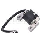 BOBINA B&amp;S QUANTUM + EUROPA - motoscamaralweb.com