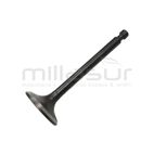 VALVULA ESCAPE HONDA GX390 - motoscamaralweb.com