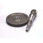 Desarrollo engranaje primario Polini SCARABEO 4T (2021377) - motoscamaralweb.com