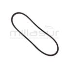 CORREA CASTEL GARDEN 17 x 1372 ( TC122/MTD LC125) - motoscamaralweb.com