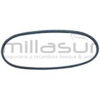 CORREA CASTEL G. 10x700 mm. Z27 TDL484TR/534TR/CA/CAL. - motoscamaralweb.com