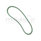 CORREA 15.8x1270 ADAPTABLE A MTD - RACOON 31001760 - motoscamaralweb.com