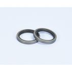 RETENES Variador Polini MBK BOOSTER (242043)- motoscamaralweb.com