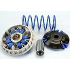 Variador Polini HONDA 125 PCX 9 RODILLOS (241697)- motoscamaralweb.com