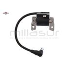 BOBINA ENCENDIDO REEMPLAZA A 799381 - 590455 - motoscamaralweb.com