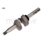 CIGÜEÑAL - motoscamaralweb.com