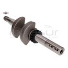 CIGÜEÑAL - motoscamaralweb.com