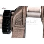 CIGÜEÑAL - motoscamaralweb.com