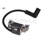 BOBINA - motoscamaralweb.com