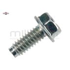 TORNILLO - motoscamaralweb.com