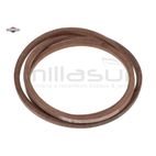 CORREA - motoscamaralweb.com