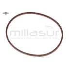 CORREA - motoscamaralweb.com