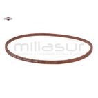 CORREA - motoscamaralweb.com