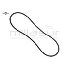 CORREA - motoscamaralweb.com