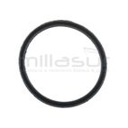 JUNTA TORICA - motoscamaralweb.com