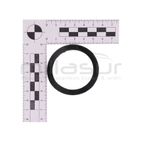 JUNTA RACOR SALIDA BOMBA BA4C20HP (11) - motoscamaralweb.com