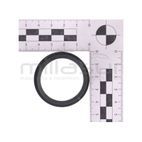 RACOR SALIDA (3) - motoscamaralweb.com