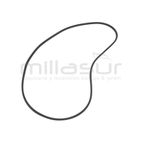 CORREA BIO150 (35) - motoscamaralweb.com