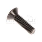 TORNILLO CUCHILLAS M8 X 25 BIO150T (21) - motoscamaralweb.com