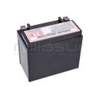 BATERIA BIO150T (69) - motoscamaralweb.com