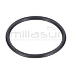 JUNTA TORICA CUERPO 45x3.1 BE1300ASC (20) - motoscamaralweb.com