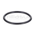 JUNTA TORICA CUERPO 45x3.1 BE1300ASC (20) - motoscamaralweb.com