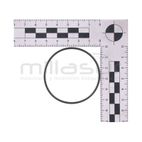 JUNTA TORICA 50x1.8 BE1300ASC (38) - motoscamaralweb.com