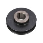 POLEA Ø90 BIO300 (61) - motoscamaralweb.com