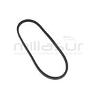 CORREA BIO70D. BIO150D - SIN EMBRAGUE - motoscamaralweb.com