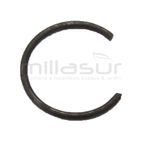 PRESILLA BULON - motoscamaralweb.com