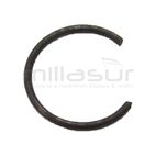 PRESILLA BULON - motoscamaralweb.com