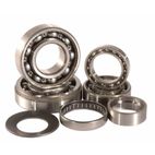 Kit rodamientos transmisión HOT RODS Suzuki LT-R450 - motoscamaralweb.com