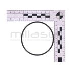 JUNTA TORICA 72X3 BE750AS (41) - motoscamaralweb.com