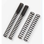 Muelles de horquilla Road Bitubo MY39WO - motoscamaralweb.com