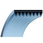 CORREA TRACCIÓN 12x902 ADAPTABLE A MAKITA DPC8132. DPC8112 - motoscamaralweb.com