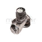 MOTOR + CILINDRO COMPLETO. BOMBA COMPLETA CA180M (16) - motoscamaralweb.com