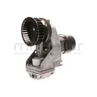 MOTOR + CILINDRO COMPLETO. BOMBA COMPLETA CA180M (16) - motoscamaralweb.com