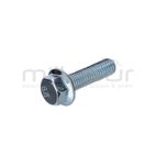 TORNILLO PEINES CG2C - motoscamaralweb.com