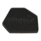 FILTRO AIRE ESPUMA D226-D233 - motoscamaralweb.com