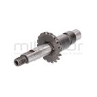 EJE CABEZAL PODADORA D26C-MULTI (25) - motoscamaralweb.com