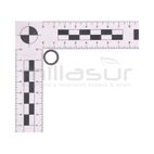 ARANDELA TORNILLO EMBRAGUE D33B (2) - motoscamaralweb.com