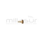 CHICLÉ - motoscamaralweb.com