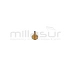 CHICLÉ - motoscamaralweb.com