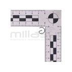 PRESILLA BULON D536 - motoscamaralweb.com