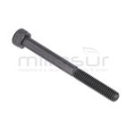TORNILLO ESCAPE M6X60 D536 - motoscamaralweb.com