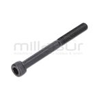 TORNILLO ESCAPE M6X60 D536 - motoscamaralweb.com