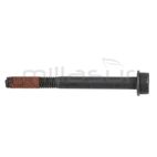 TORNILLO SUJECCION CARBURADOR M5X50 D536.D553M(54) - motoscamaralweb.com