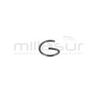 PRESILLA BULON D545 (22). D553M(24) - motoscamaralweb.com