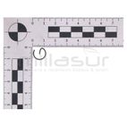 PRESILLA PISTON D63 - motoscamaralweb.com