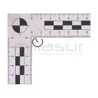 PRESILLA BULON PISTON D553 (22) - motoscamaralweb.com